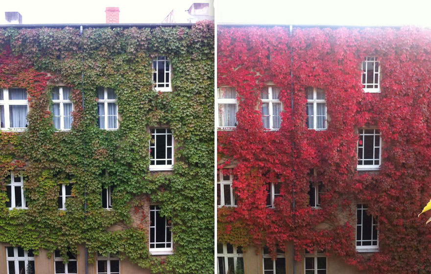 Before And After Photos Of Autumn’s Beautiful Transformations VIRALLK (1)