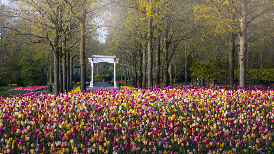 The Most Beautiful Flower Garden In The World