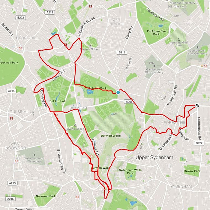Jogger Turns Running Routes Into Fun Animal Artwork Using A GPS Tracker
