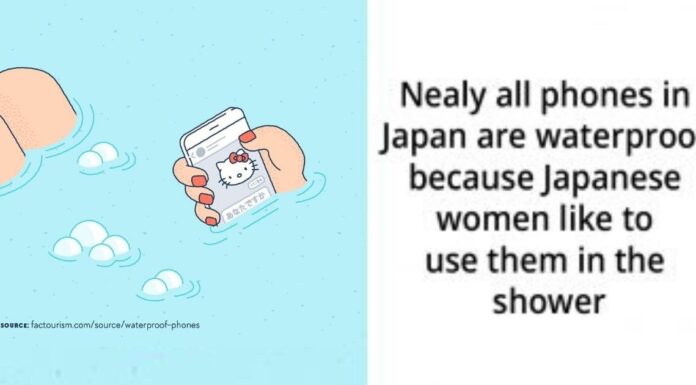 Illustrations Show The Most Fascinating Facts About World