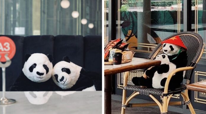 Restaurant Finds A Genius Way To Help Their Customers Feel Less Lonely While Social Distancing Using Pandas