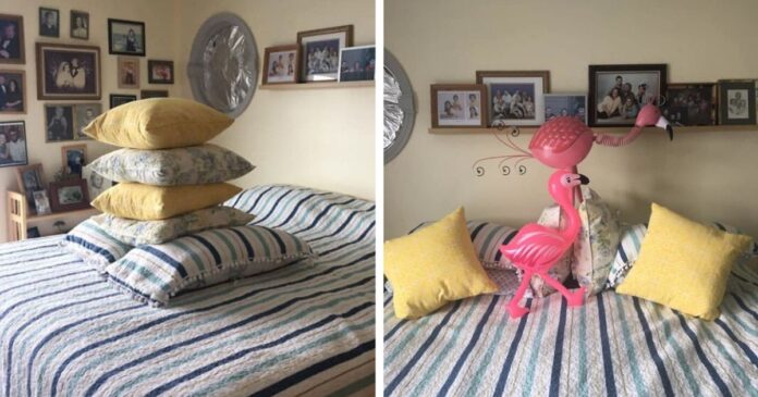 Husband Doesn't Know What To Do With The Extra Pillows When Making The Bed, Hilariously Improvises