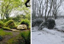 Incredible Living Sculpture In The Lost Gardens Of Heligan Changes Its Appearance With The Seasons by the artists called Pete and Sue Hill