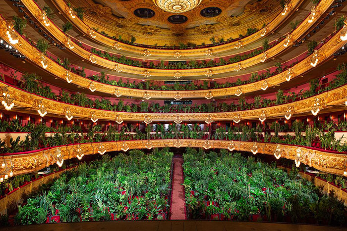 Barcelona Opera House Reopens With A Performance In Front Of A Majestic Crowd Of 2,292 Plants