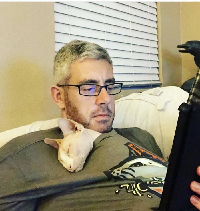 50 Dads Who Didn’t Want The Damn cat and dogs In Their Lives
