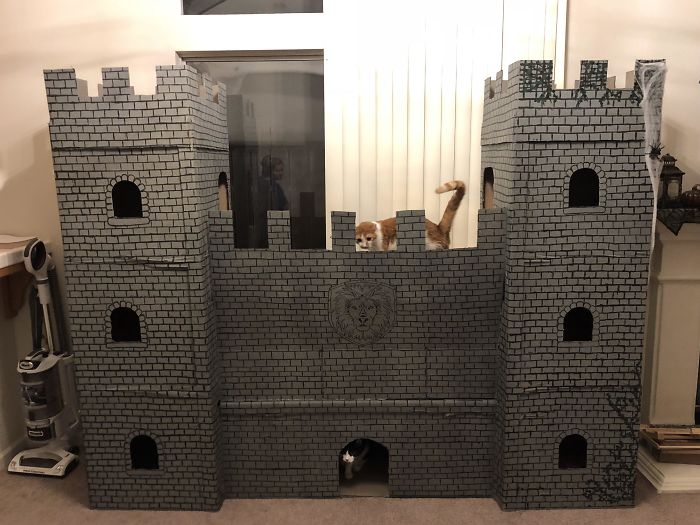 cardboard cat house cat castle