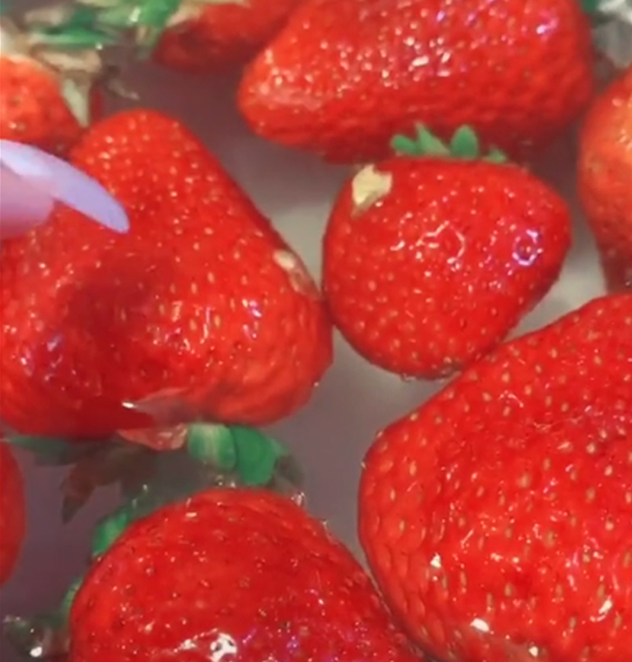 , If You Put Strawberries Into Salt Water, Tiny Bugs Come Out Of Them