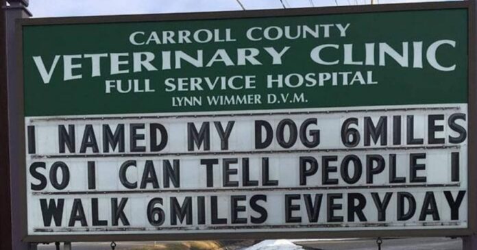 30 Of The Funniest Outdoor Signs From This Vet Clinic That Dad Joke Lovers Will Appreciate