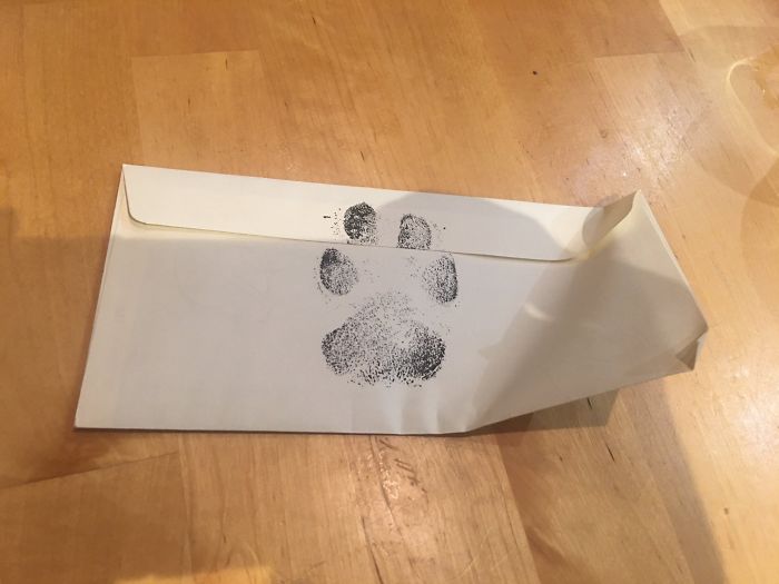 4 Guys Beg Their Neighbor To Let Them Play With Their Dog, Get A Wholesome Letter In Response