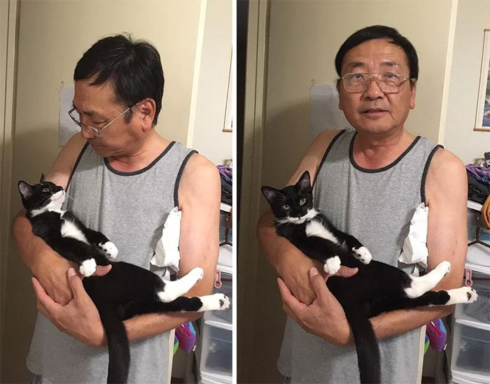 50 Dads Who Didn’t Want The Damn cat and dogs In Their Lives