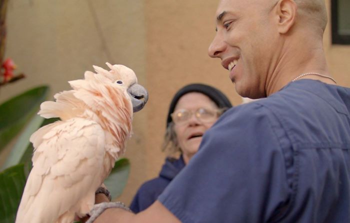 Veterinarian Who Walks Around California And Treats Homeless People’s Animals For Free Stewart Kwane