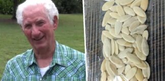 Arkansas Man Planted Mystery Seeds Delivered From China To Grow Massive Unstoppable Fruit