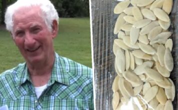 Arkansas Man Planted Mystery Seeds Delivered From China To Grow Massive Unstoppable Fruit