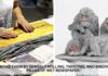 Japanese Artist Tightly Rolls Newspaper To Create Incredibly Realistic Animal Sculptures Chie Hitotsuyama