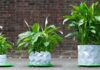 Shape-Shifting ‘Origami’ Pots That Grow Together With Your Plants