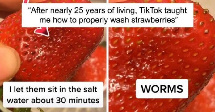 If You Put Strawberries Into Salt Water, Tiny Bugs Come Out Of Them