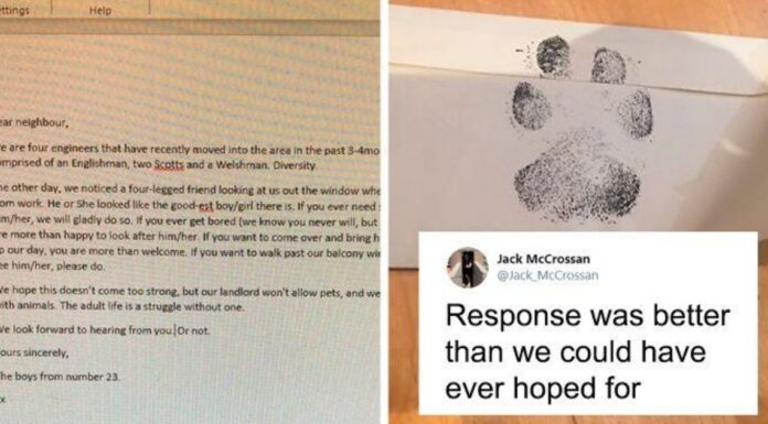 4 Guys Beg Their Neighbor To Let Them Play With Their Dog, Get A Wholesome Letter In Response