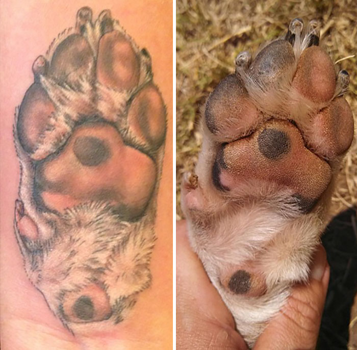 Awesome dog paw tattoos