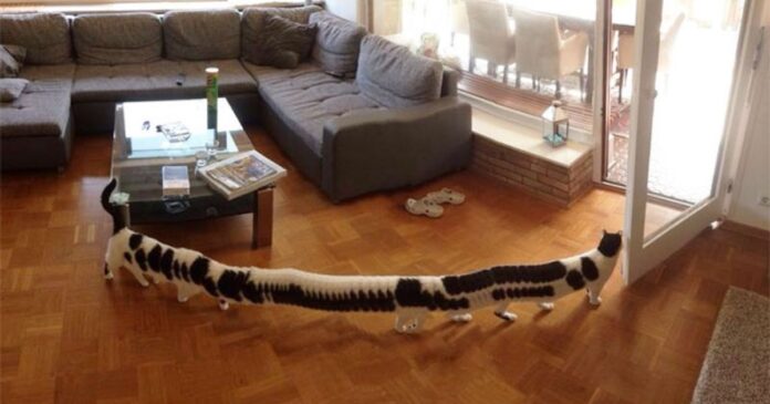 Hilarious Panorama Fails That Are So Bad They’re Good