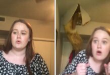 A woman hilariously crashes through the ceiling while her daughter films viral video