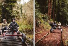 Pedal Through California’s Redwood Forest On A Railbike