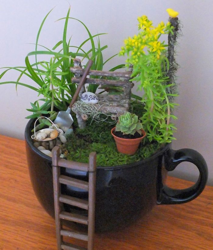 Tea cup garden. new gardening trend