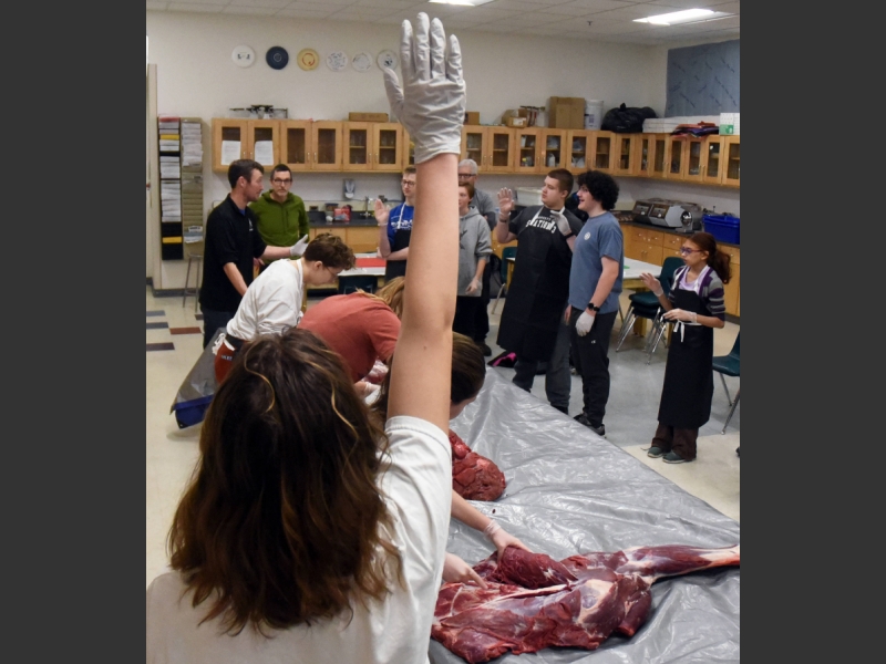 A group of Chugiak High students butchered a moose in class