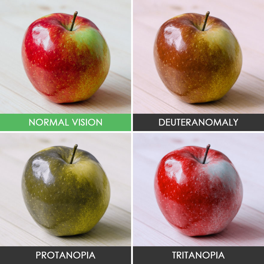 How People With Color Blindness See The World