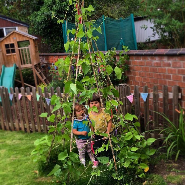 People Are Growing Magical Bean Pole Garden Tents For Their Kids