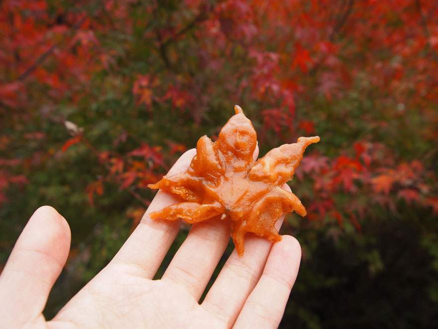 Fried Maple Leaves Are A Tasty Autumn Snack