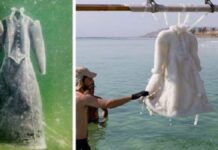 Two months submerged in the Dead Sea turned this black dress into a crystallized masterpiece