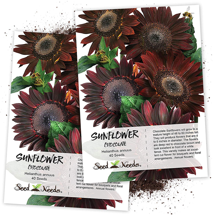 These Seeds Grow Chocolate Sunflowers, So You Can Add A ‘Sweet’ Touch To Your Garden