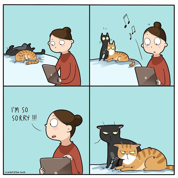 Artist Illustrates Funny Realities Of Living With A Cat