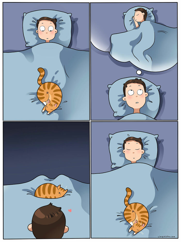 Artist Illustrates Funny Realities Of Living With A Cat